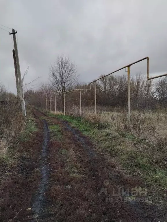 Дом в Воронежская область, Новоусманский район, с. Рогачевка ул. ... - Фото 1