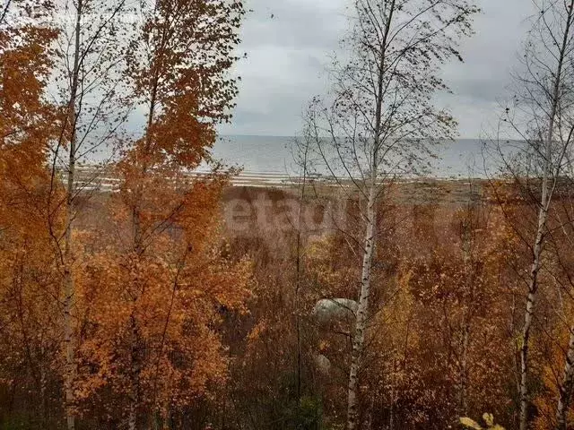 Участок в Псковская область, Печорский муниципальный округ, деревня ... - Фото 1