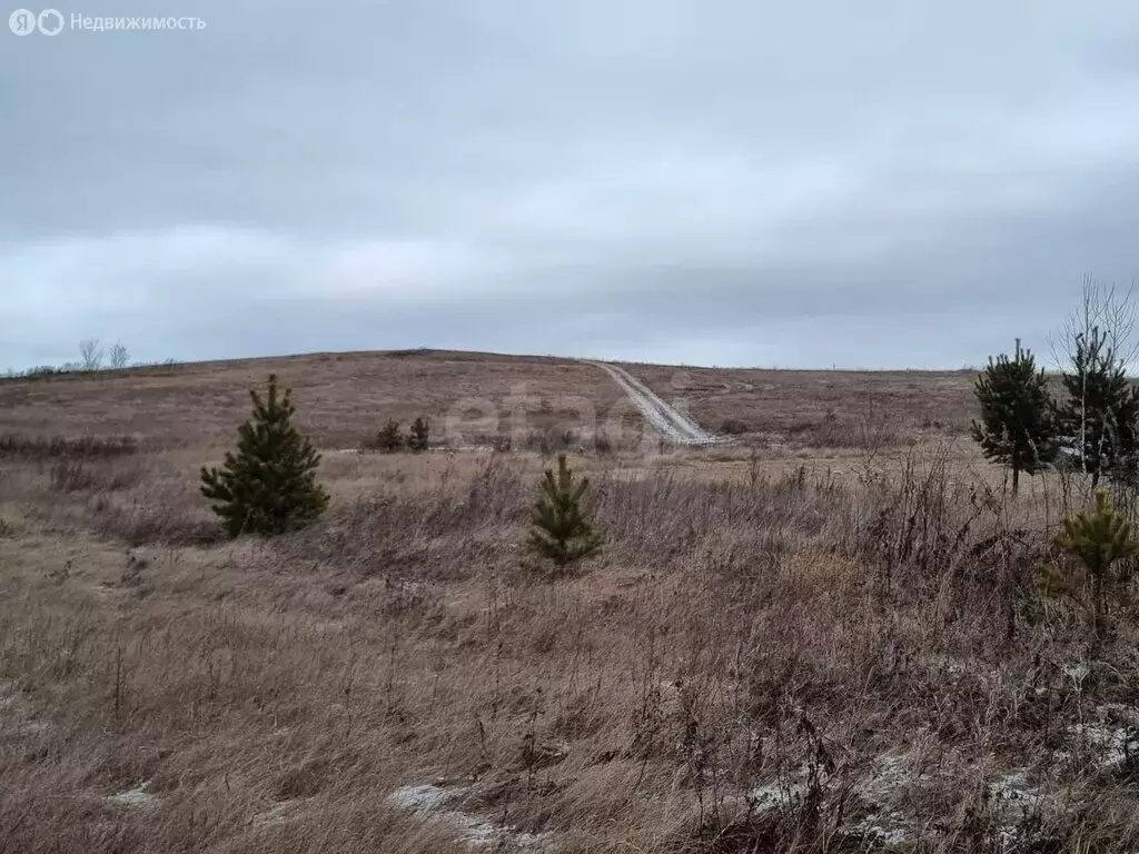 Участок в Челябинская область, Чебаркульский муниципальный округ, ... - Фото 2