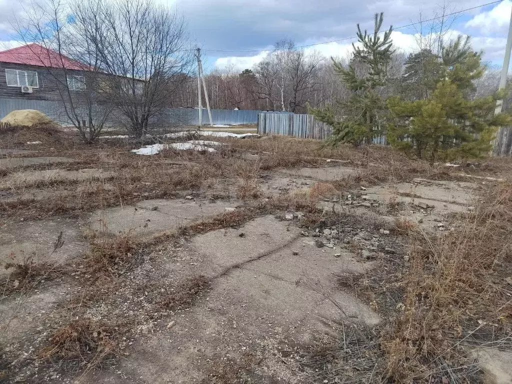 Участок в Амурская область, Свободненский район, с. Малая Сазанка ... - Фото 1