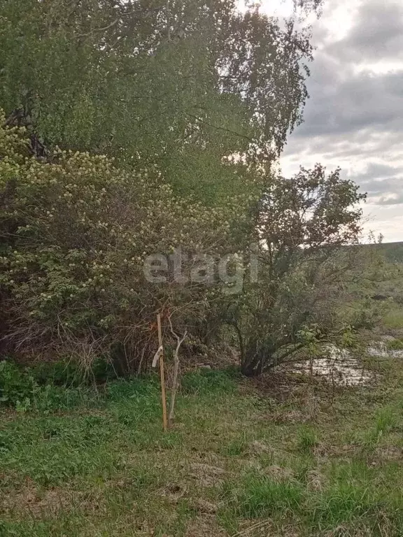 Участок в Мордовия, Рузаевский район, с. Болдово Никольская ул. (19.65 ... - Фото 1