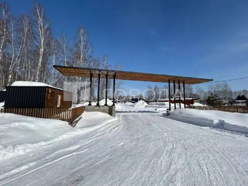 Участок в Новосибирская область, Новосибирский район, Кудряшовский ... - Фото 1