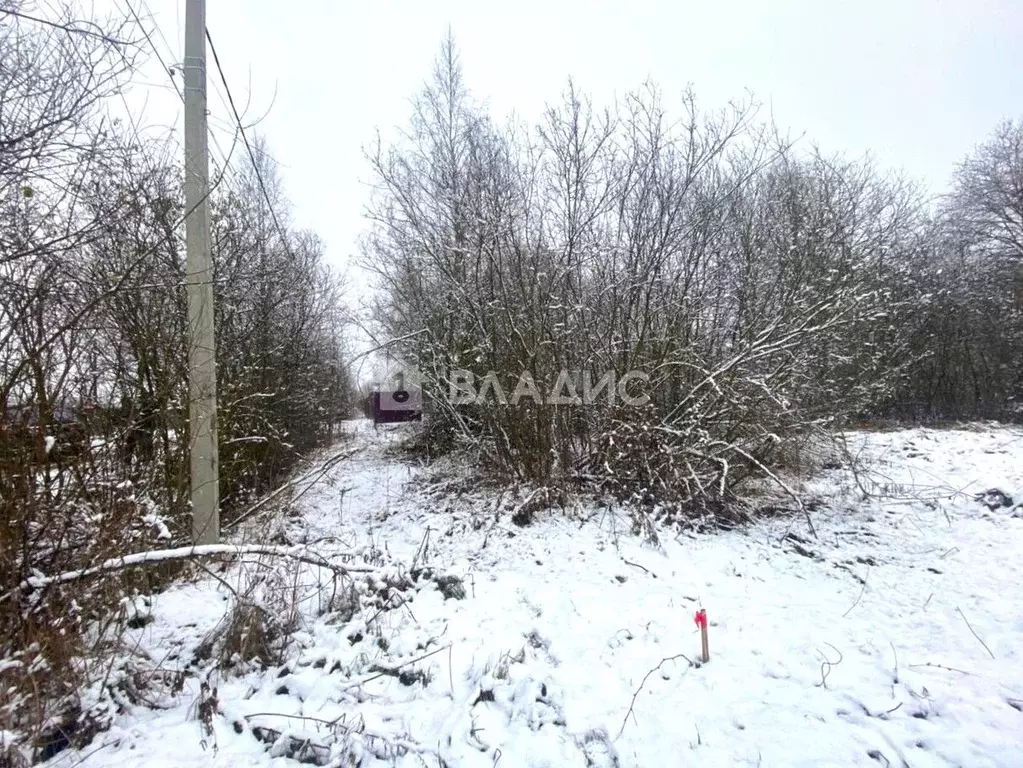 Участок в Владимирская область, Собинский муниципальный округ, д. ... - Фото 2