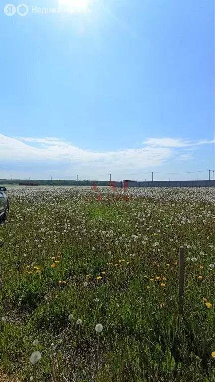 Участок в Владимирская область, Собинский муниципальный округ, село ... - Фото 0