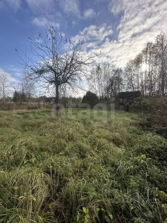 Участок в Калининградская область, Приморск ул. Дружная (5.86 сот.) - Фото 2