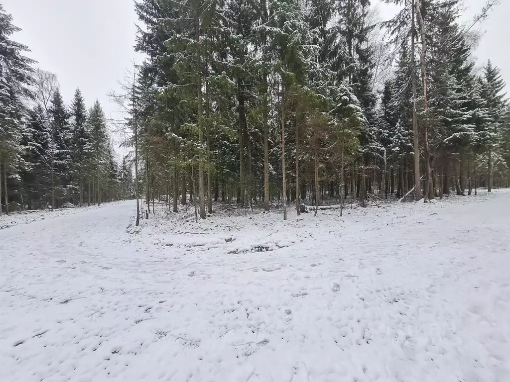 Участок в Московская область, Химки городской округ, д. Веревское  ... - Фото 0