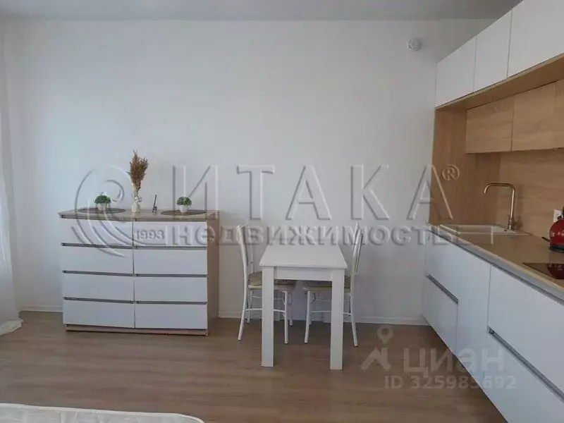 Студия Ленинградская область, Всеволожский район, д. Новое Девяткино ... - Фото 2