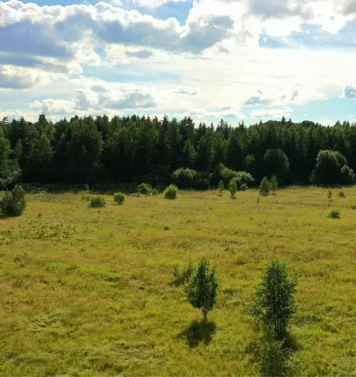 Участок в Ленинградская область, Тосненский район, Федоровское ... - Фото 2