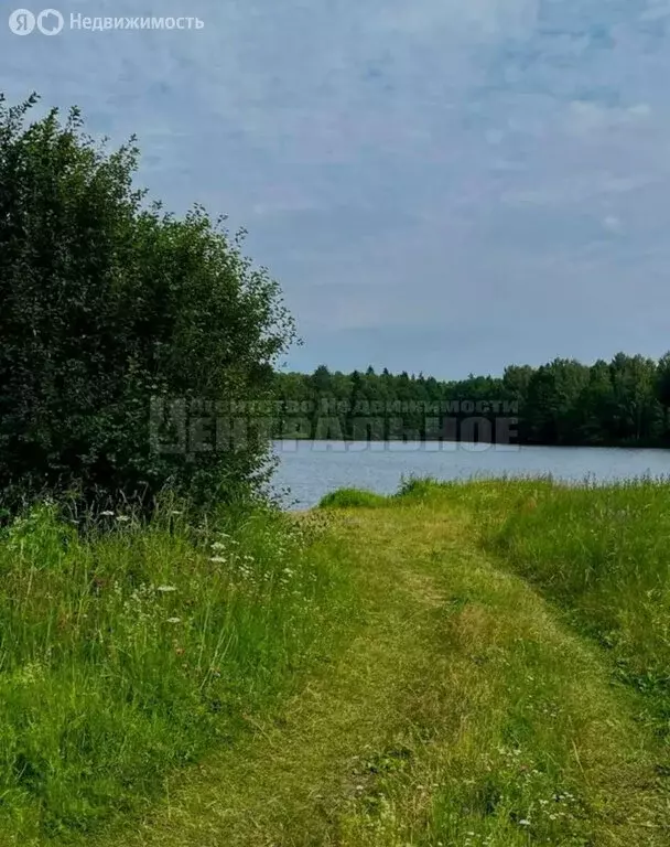 Участок в Смоленская область, Рославльский муниципальный округ, ... - Фото 1