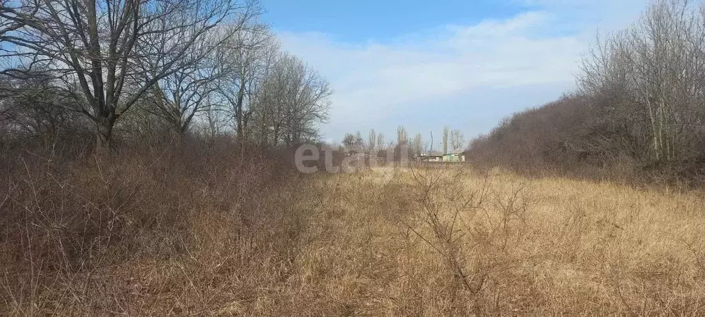 Участок в Белгородская область, Корочанский район, Мелиховское с/пос, ... - Фото 0