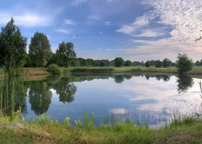 Участок в Московская область, Сергиево-Посадский городской округ, д. ... - Фото 2
