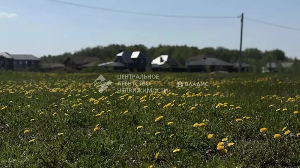 Участок в Рязанская область, Рязанский муниципальный округ, д. Дубняки ... - Фото 2