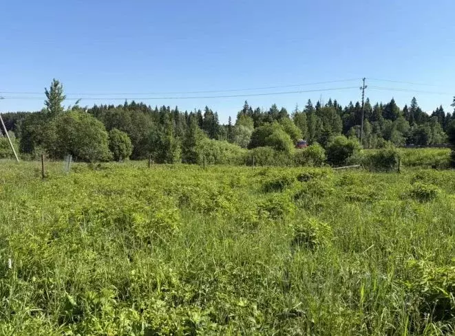 Участок в Московская область, Истра ул. Ленина, Река Истра (8.77 сот.) - Фото 1