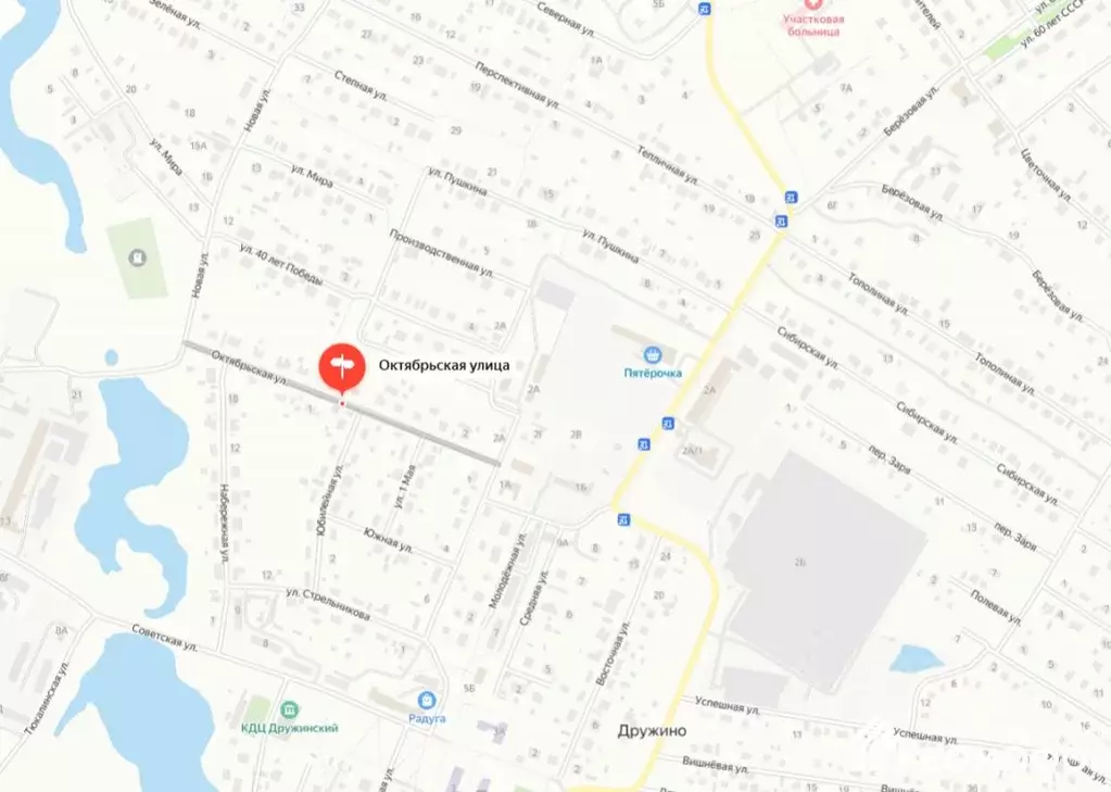 Участок в Омская область, Омский район, с. Дружино Октябрьская ул. ... - Фото 2