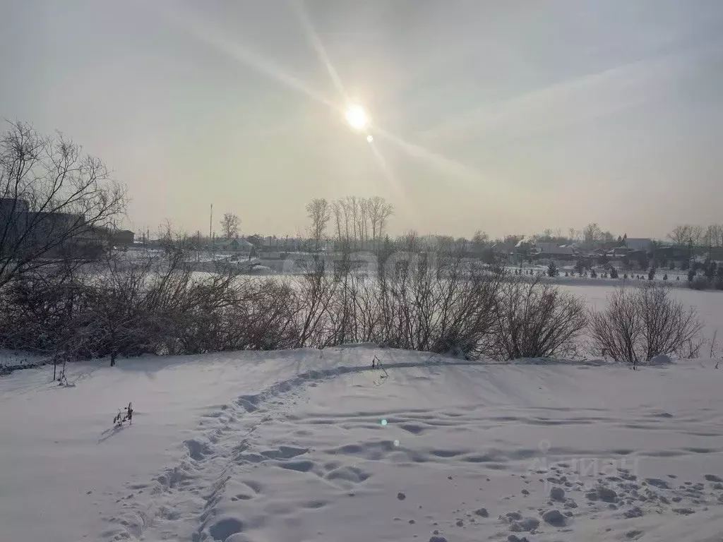 Участок в Красноярский край, Красноярск городской округ, пос. Элита ... - Фото 1