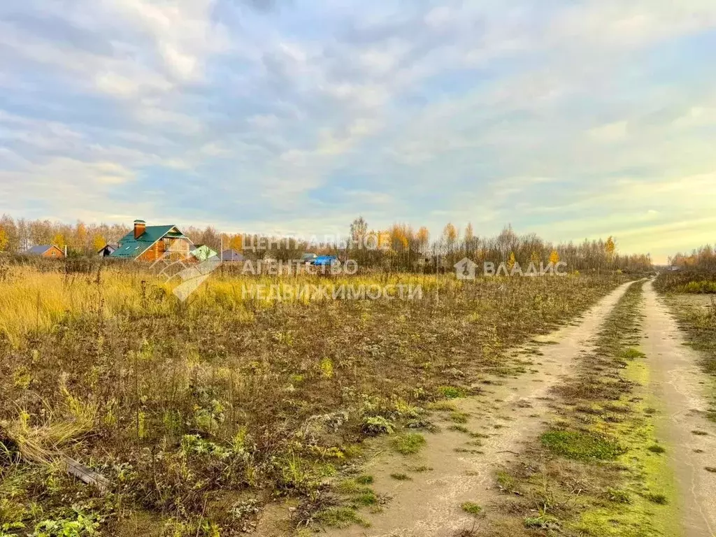 Участок в Рязанская область, Рязанский муниципальный округ, пос. ... - Фото 2