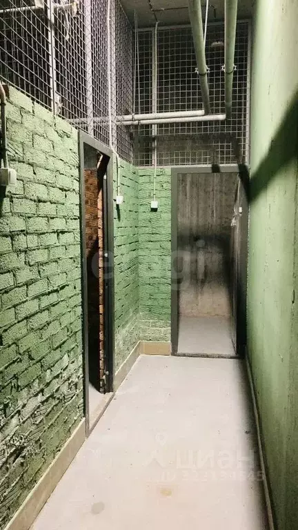 Помещение свободного назначения в Новосибирская область, Новосибирск ... - Фото 1