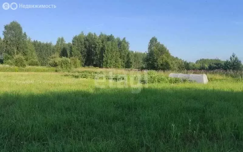 Участок в Ярославский муниципальный округ, СНТ Росток (20 м) - Фото 1