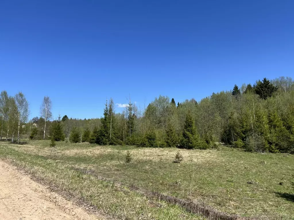 Участок в Московская область, Дмитровский городской округ, Серебряный ... - Фото 1