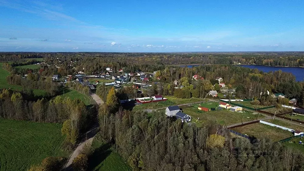 Участок в Ленинградская область, Выборгский район, Приморское ... - Фото 1