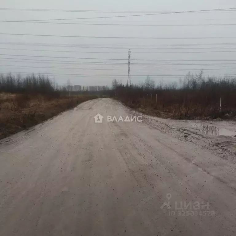 Участок в Ленинградская область, Всеволожский район, Бугровское ... - Фото 1