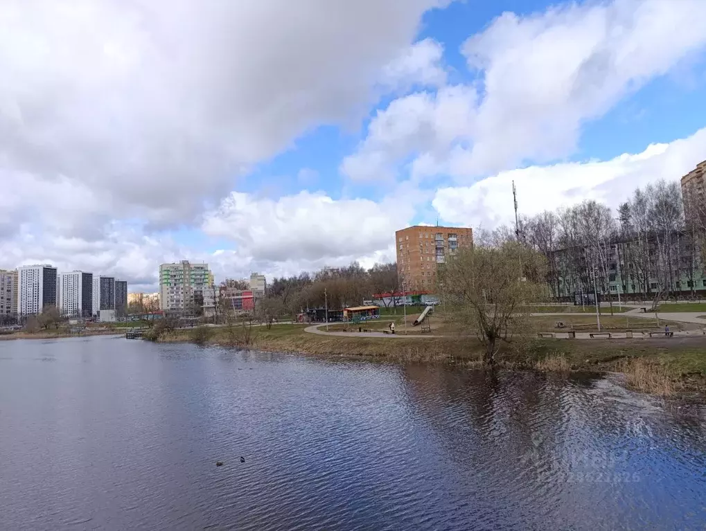 1-к кв. Московская область, Пушкино Серебрянка мкр, 5 (35.0 м) - Фото 1