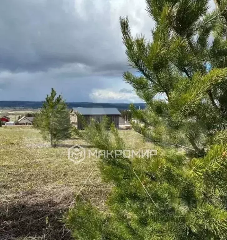 Участок в Пермский край, д. Большакино ул. Алмазная (9.07 сот.) - Фото 0