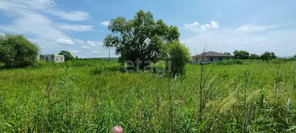 Участок в Приморский край, Надеждинский район, пос. Зима Южная ул. ... - Фото 0