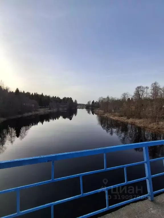 Участок в Вологодская область, Кадуйский муниципальный округ, ... - Фото 1