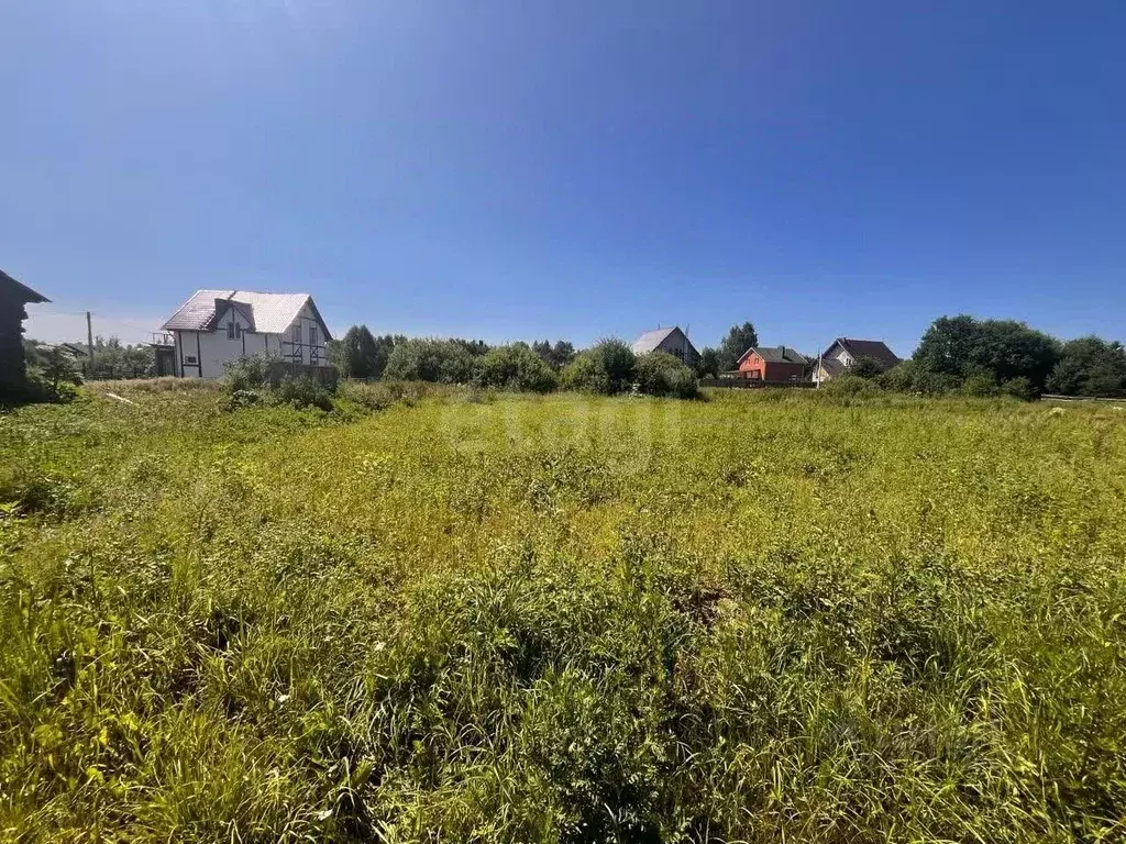 Участок в Костромская область, Костромской район, Никольское с/пос, ... - Фото 1