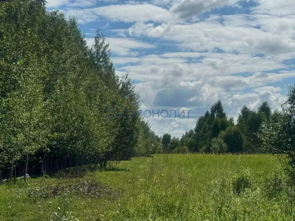 Участок в Нижегородская область, Кстовский муниципальный округ, с. ... - Фото 1