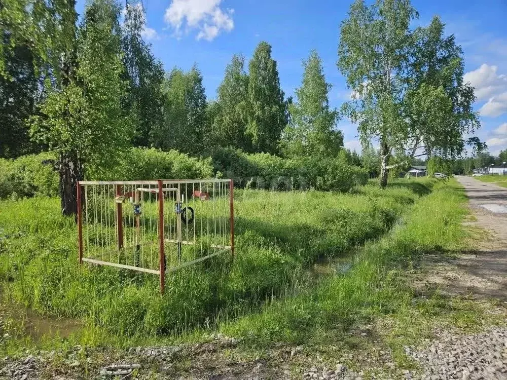 Участок в Тюменская область, Тюменский муниципальный округ, с. ... - Фото 1