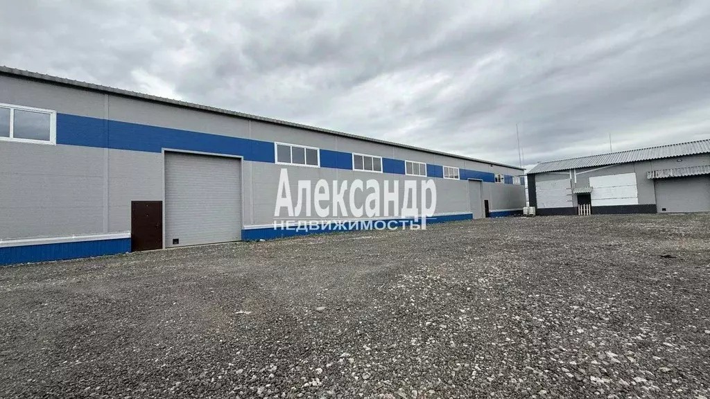 Склад в Ленинградская область, Всеволожский район, Муринское городское ... - Фото 2