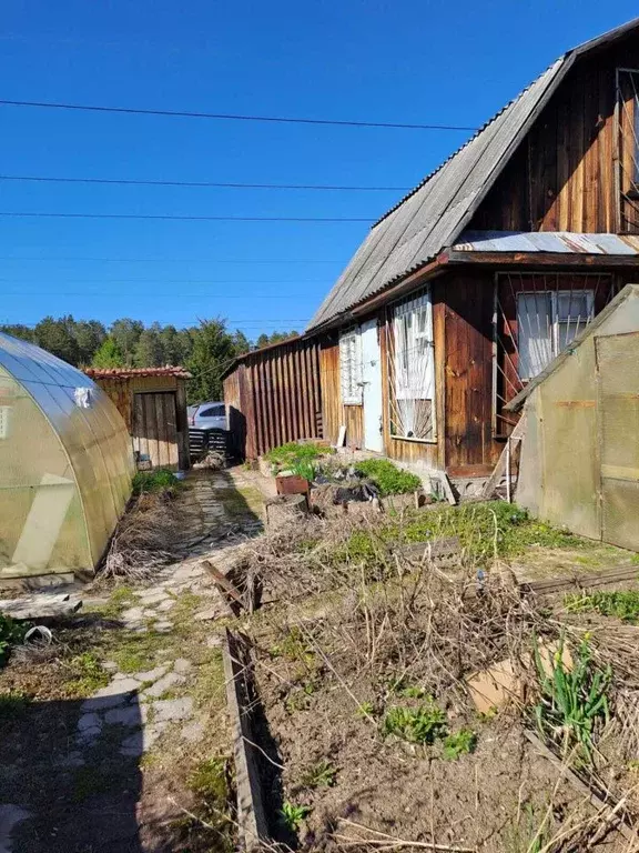 Участок в Свердловская область, Екатеринбург Академстрой СНТ, 134 ... - Фото 1