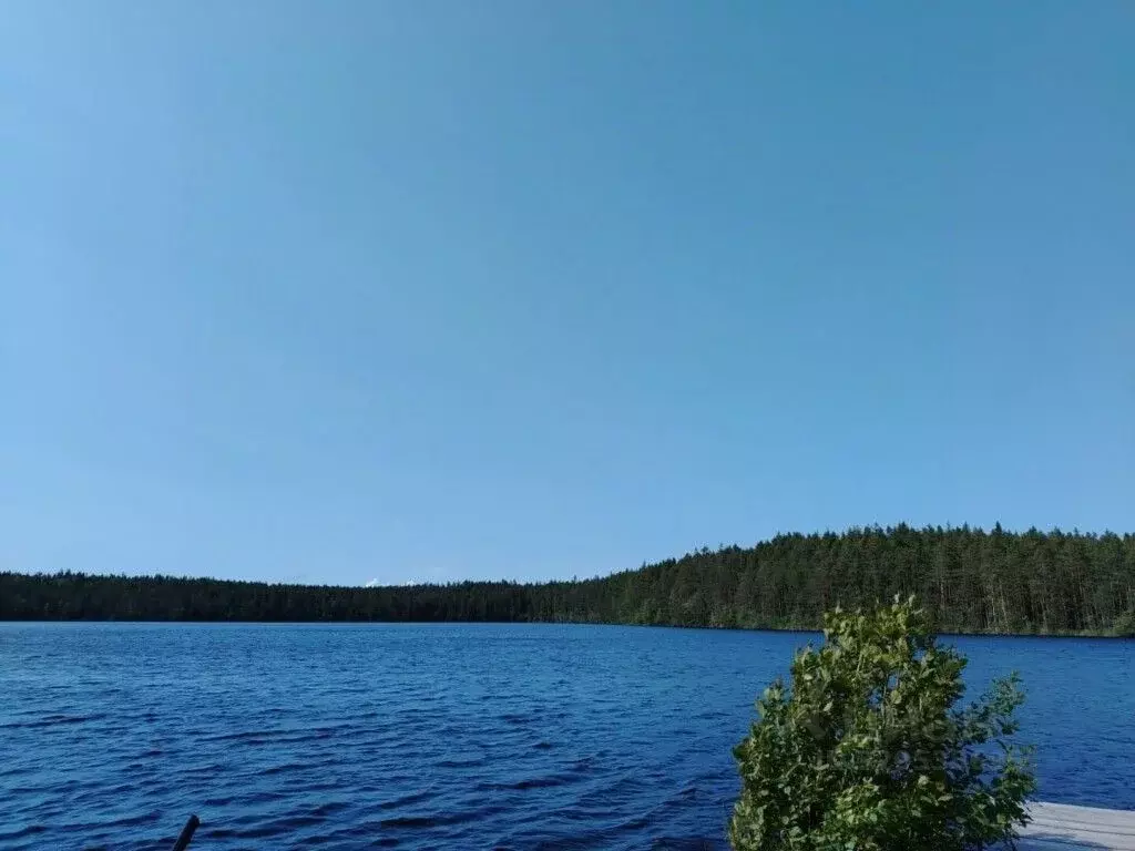 Участок в Ленинградская область, Выборгский район, Полянское с/пос, ... - Фото 1