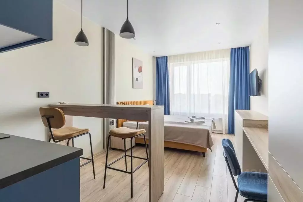 Студия Санкт-Петербург просп. Энергетиков, 8к2 (27.0 м) - Фото 1