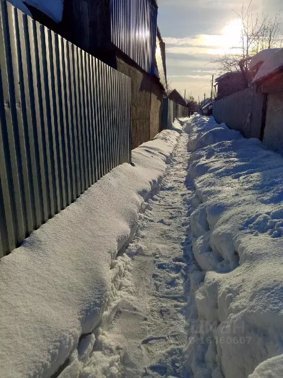 Участок в Челябинская область, Челябинск Тракторосад-1 садовое ... - Фото 1