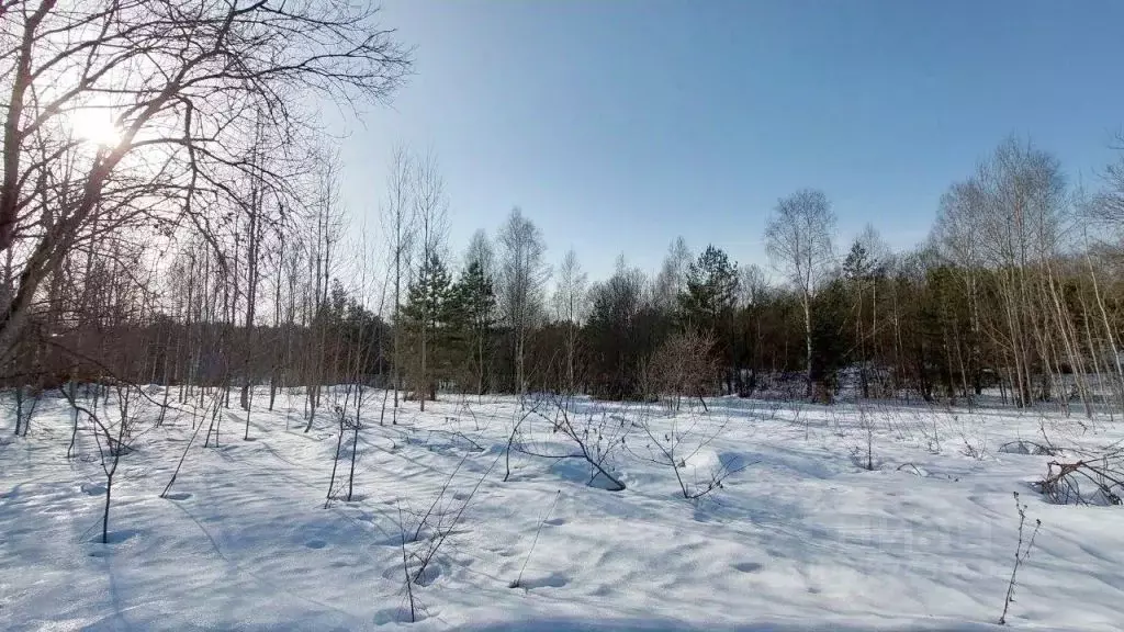Участок в Тверская область, Старицкий муниципальный округ, д. Жихарево ... - Фото 1