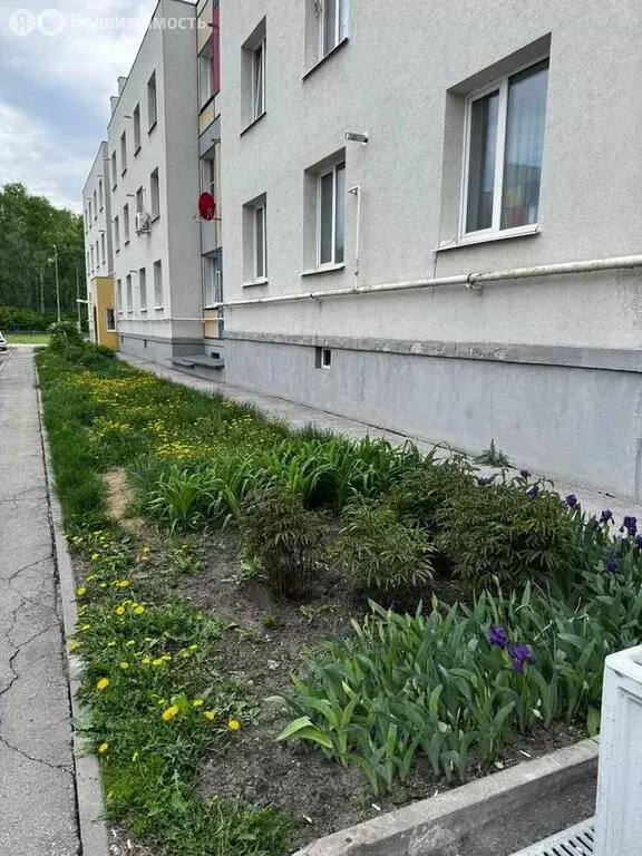 1-комнатная квартира: посёлок городского типа Стройкерамика, улица ... - Фото 0
