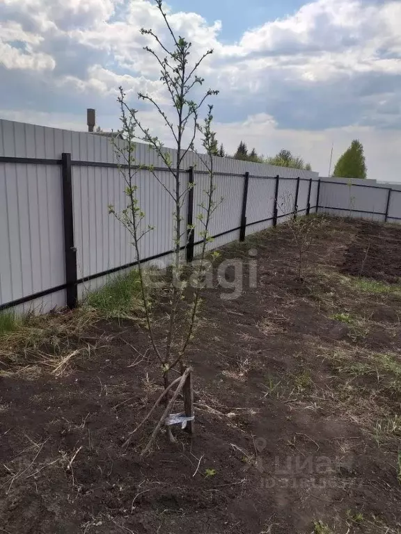 Участок в Мордовия, с. Кочкурово ул. Школьная (11.0 сот.) - Фото 1