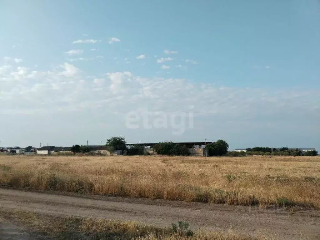 Участок в Крым, Ленинский район, Семисотское с/пос, с. Каменское ул. ... - Фото 0