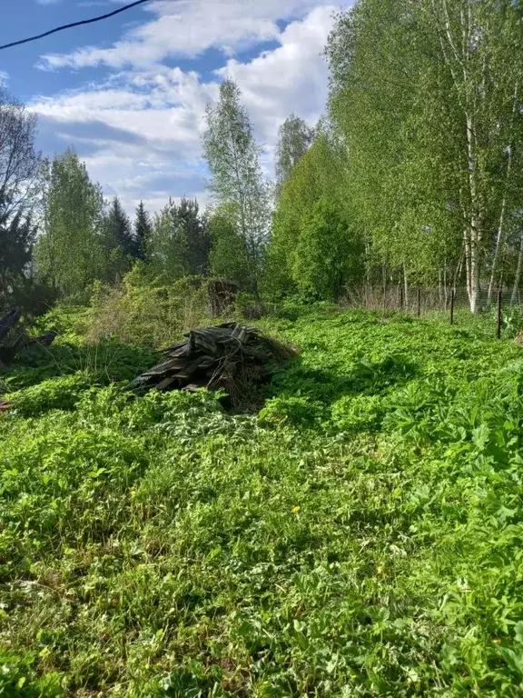 Участок в Тверская область, Конаково Южная ул. (10.0 сот.) - Фото 1