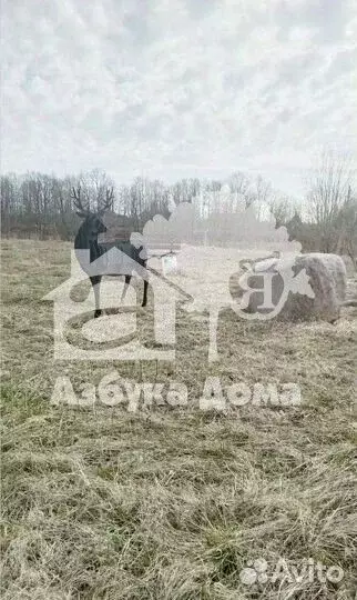 Участок в Ленинградская область, Шлиссельбург Кировский район, ... - Фото 2