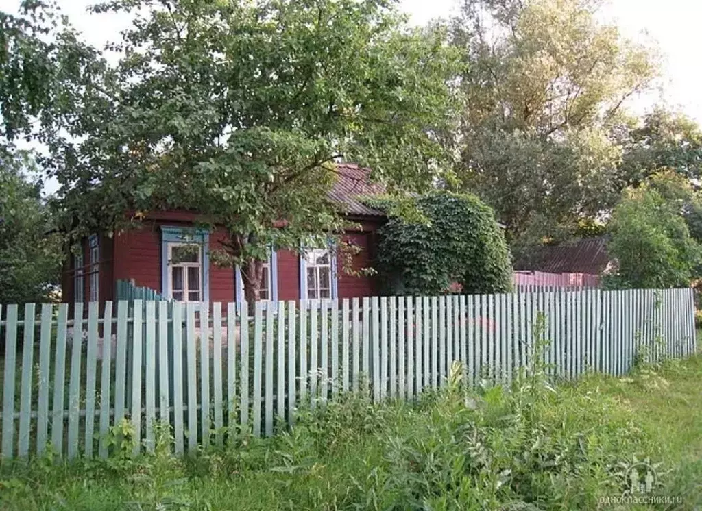 Дом в Рязанская область, Сасовский муниципальный округ, с. Алешино  ... - Фото 1