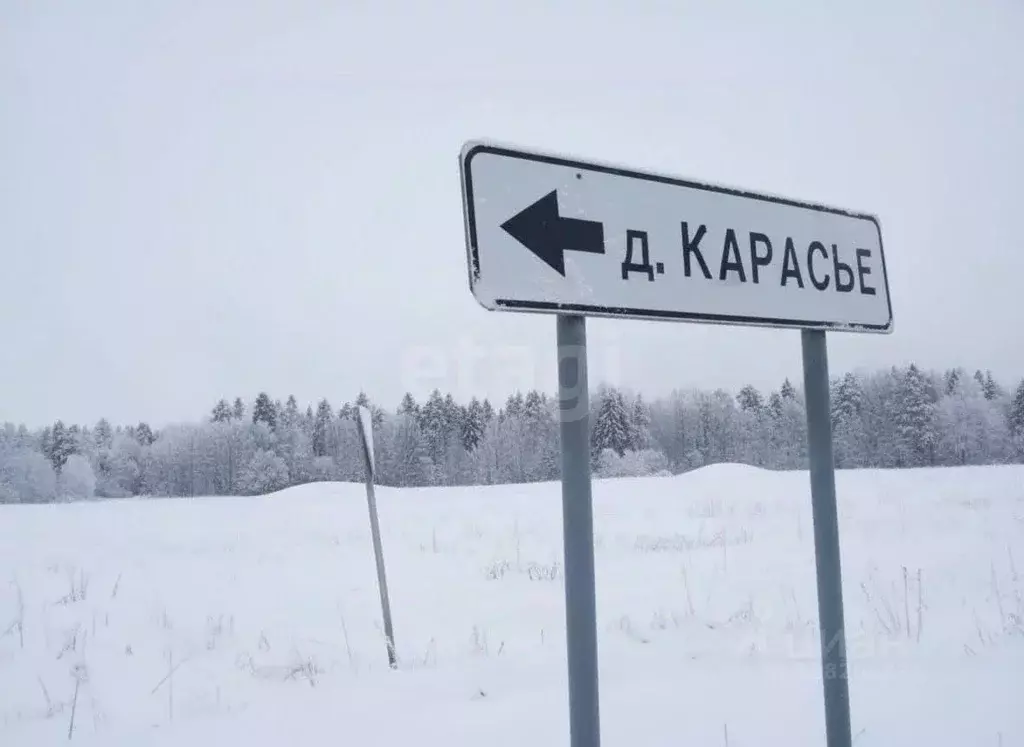 Участок в Пермский край, Пермский муниципальный округ, д. Карасье ул. ... - Фото 1