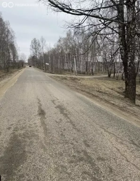 Участок в Казань, садоводческое товарищество Кооператор, 602 (5 м) - Фото 2