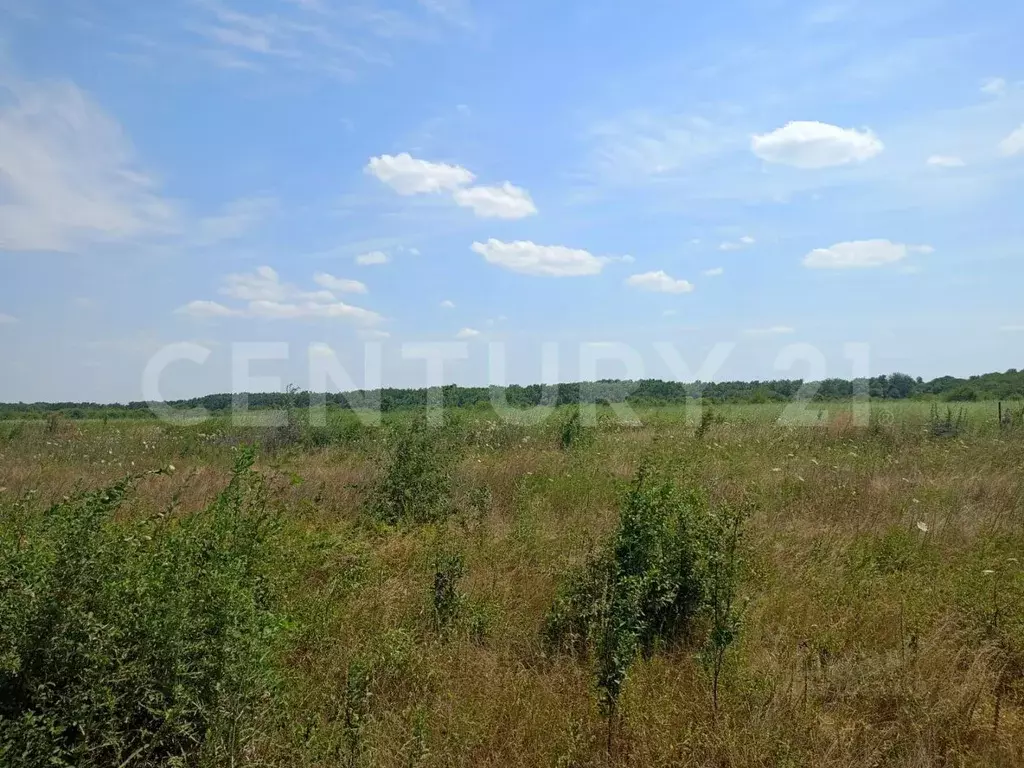 Участок в Краснодарский край, Краснодар Старокорсунская ст-ца, ул. ... - Фото 1