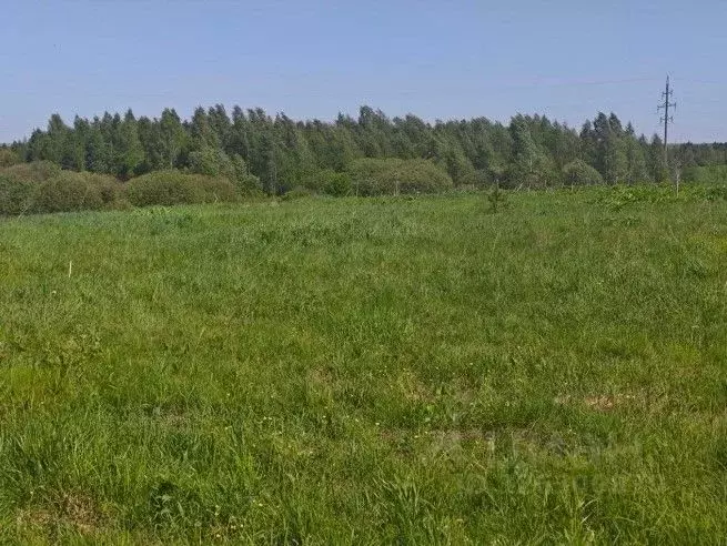 Участок в Московская область, Рузский муниципальный округ, д. Орешки  ... - Фото 1