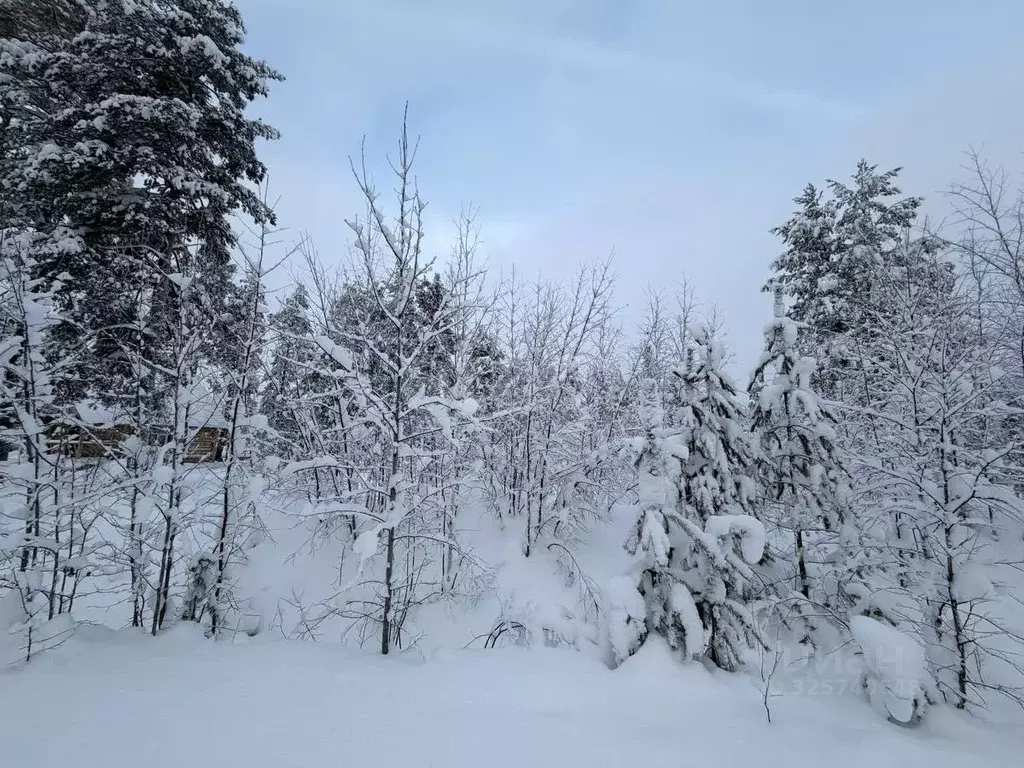 Участок в Коми, Корткеросский район, Посад СДТ 1-я линия (10.31 сот.) - Фото 1