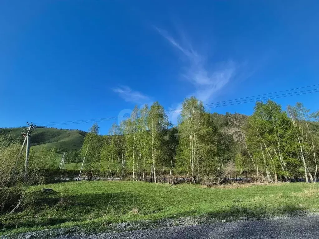 Участок в Алтай, Усть-Коксинский район, с. Горбуново  (224.0 сот.) - Фото 1